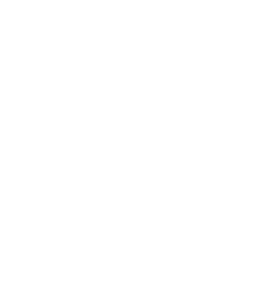 株式会社 Lien Styleロゴ